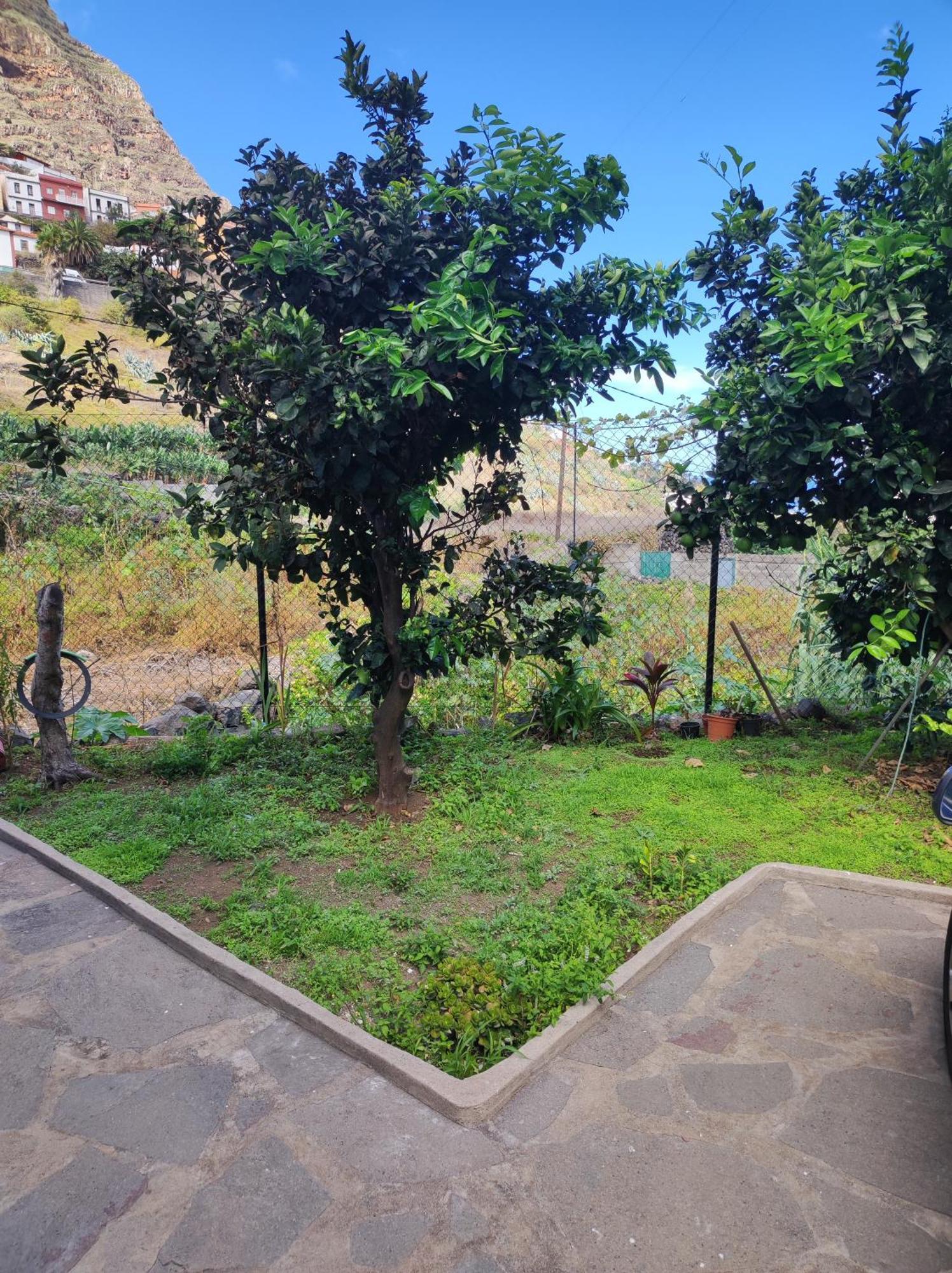Casa Donela Apartman Hermigua Kültér fotó